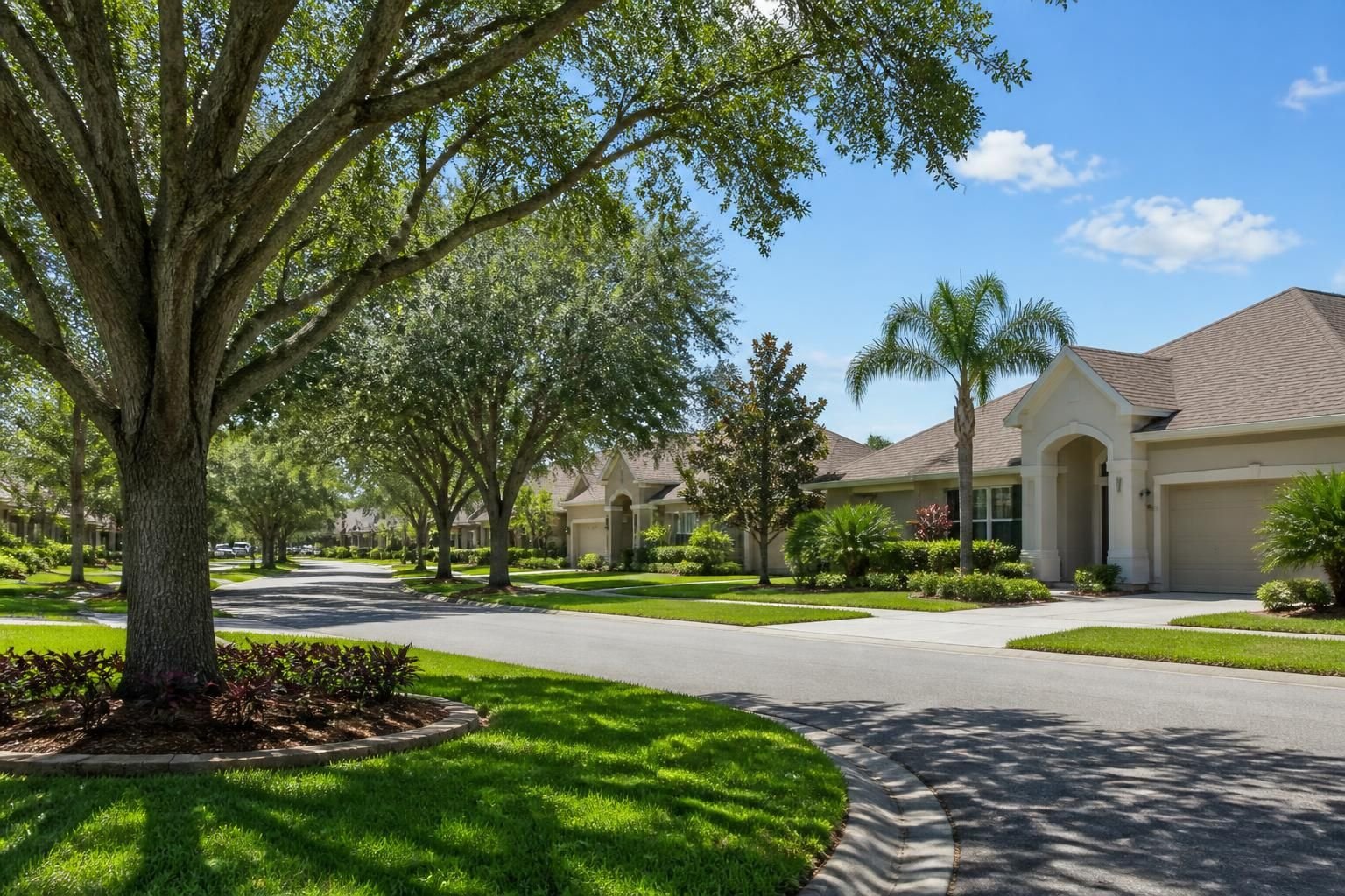 Tree-lined Lithia neighborhood with well-kept homes.